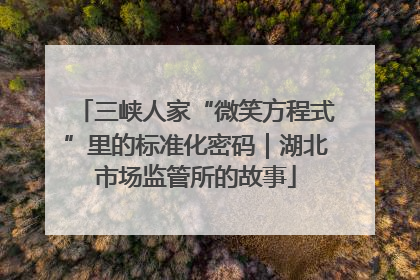 三峡人家“微笑方程式”里的标准化密码｜湖北市场监管所的故事
