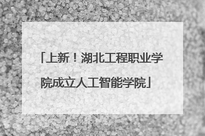 上新！湖北工程职业学院成立人工智能学院