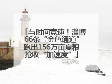与时间竞速！淄博66条“金色通道”跑出156万亩夏粮抢收“加速度”