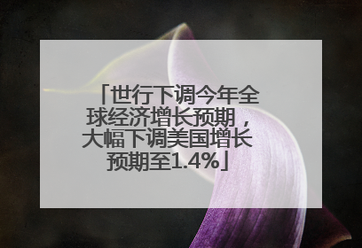 世行下调今年全球经济增长预期，大幅下调美国增长预期至1.4%