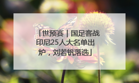 世预赛｜国足客战印尼25人大名单出炉，刘若钒落选