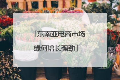 东南亚电商市场缘何增长强劲