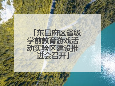 东昌府区省级学前教育游戏活动实验区建设推进会召开