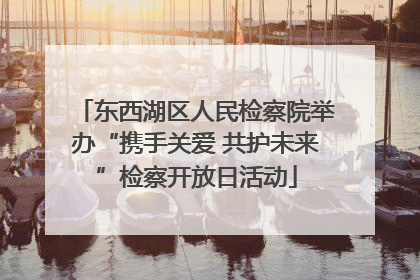 东西湖区人民检察院举办“携手关爱 共护未来”检察开放日活动