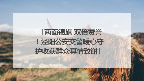 两面锦旗 双倍赞誉！泾阳公安交警暖心守护收获群众真情致谢