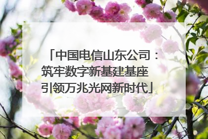 中国电信山东公司：筑牢数字新基建基座 引领万兆光网新时代