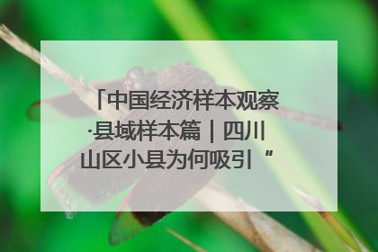 中国经济样本观察·县域样本篇｜四川山区小县为何吸引“村播”扎堆？