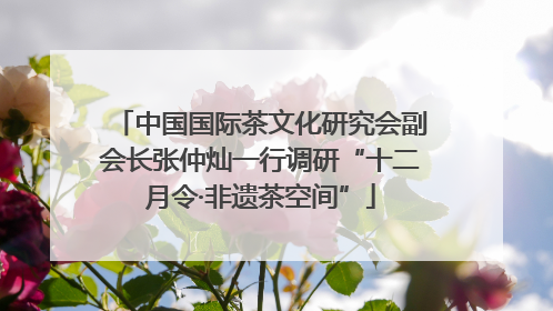 中国国际茶文化研究会副会长张仲灿一行调研“十二月令·非遗茶空间”