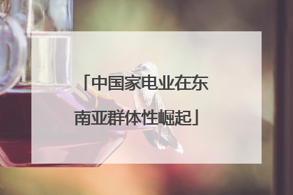 中国家电业在东南亚群体性崛起