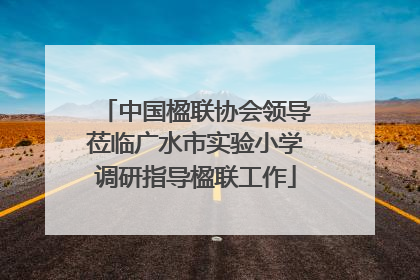 中国楹联协会领导莅临广水市实验小学调研指导楹联工作