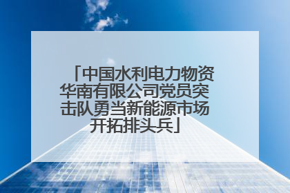 中国水利电力物资华南有限公司党员突击队勇当新能源市场开拓排头兵