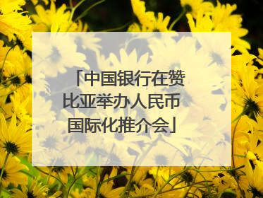 中国银行在赞比亚举办人民币国际化推介会