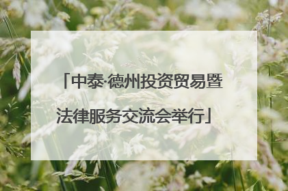 中泰·德州投资贸易暨法律服务交流会举行