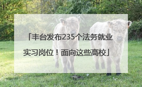 丰台发布235个法务就业实习岗位！面向这些高校