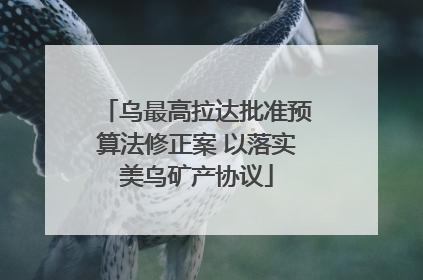乌最高拉达批准预算法修正案 以落实美乌矿产协议