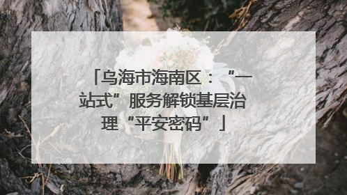 乌海市海南区：“一站式”服务解锁基层治理“平安密码”