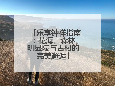 乐享钟祥指南：花海、森林、明显陵与古村的完美邂逅