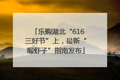 乐购湖北“616三好节”上，最新“嘬虾子”指南发布