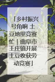 乡村振兴号角响 土豆地里竞赛忙｜曲阜市王庄镇开展土豆收获劳动竞赛
