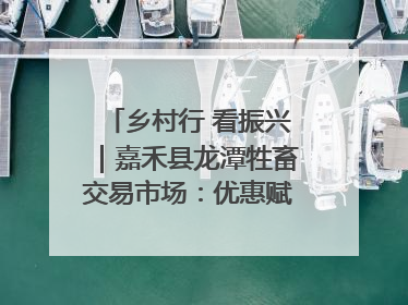 乡村行 看振兴｜嘉禾县龙潭牲畜交易市场：优惠赋能促交易 乡村振兴添动能
