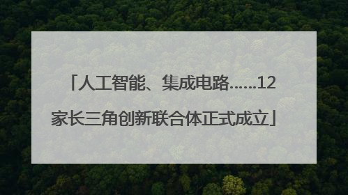 人工智能、集成电路……12家长三角创新联合体正式成立