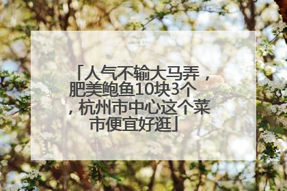 人气不输大马弄，肥美鲍鱼10块3个，杭州市中心这个菜市便宜好逛