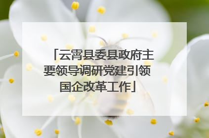 云霄县委县政府主要领导调研党建引领国企改革工作