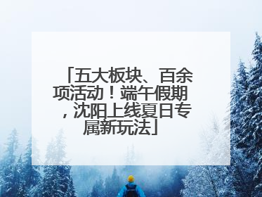 五大板块、百余项活动！端午假期，沈阳上线夏日专属新玩法