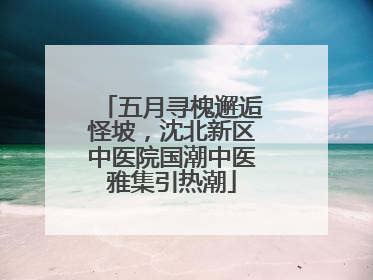 五月寻槐邂逅怪坡，沈北新区中医院国潮中医雅集引热潮