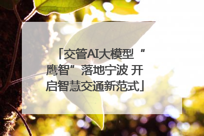 交管AI大模型“鹰智”落地宁波 开启智慧交通新范式