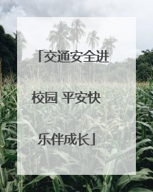 交通安全进校园 平安快乐伴成长