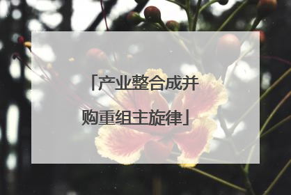 产业整合成并购重组主旋律