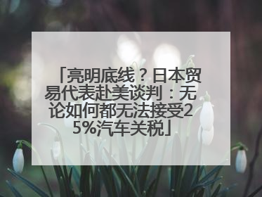 亮明底线？日本贸易代表赴美谈判：无论如何都无法接受25%汽车关税