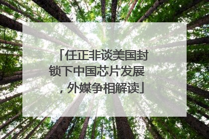 任正非谈美国封锁下中国芯片发展，外媒争相解读