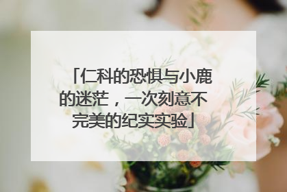 仁科的恐惧与小鹿的迷茫，一次刻意不完美的纪实实验