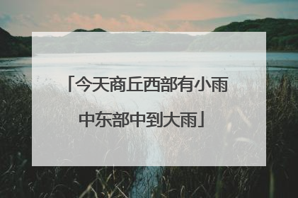 今天商丘西部有小雨 中东部中到大雨