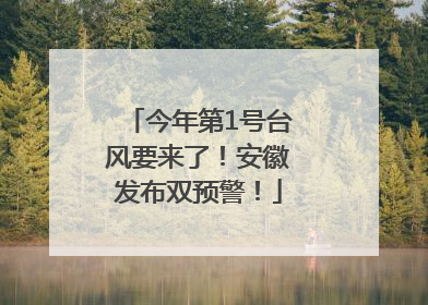 今年第1号台风要来了！安徽发布双预警！