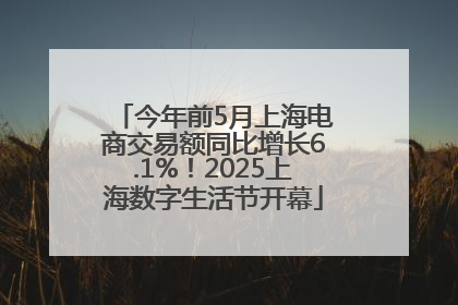 今年前5月上海电商交易额同比增长6.1%！2025上海数字生活节开幕