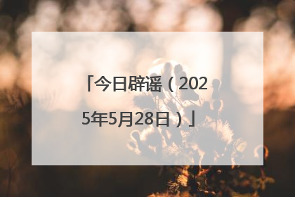 今日辟谣（2025年5月28日）