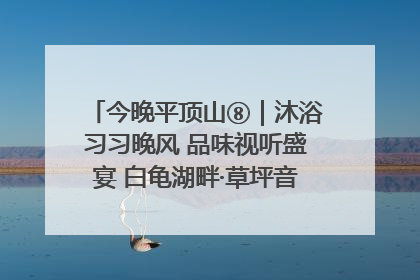 今晚平顶山⑧｜沐浴习习晚风 品味视听盛宴 白龟湖畔·草坪音乐会激情上演