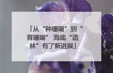 从“种珊瑚”到“育珊瑚” 海底“造林”有了新进展