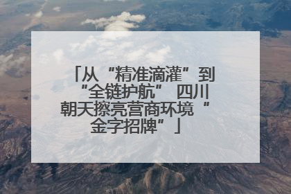 从“精准滴灌”到“全链护航” 四川朝天擦亮营商环境“金字招牌”
