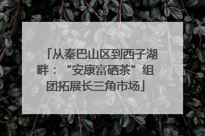 从秦巴山区到西子湖畔：“安康富硒茶”组团拓展长三角市场