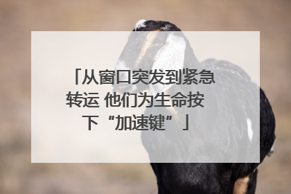 从窗口突发到紧急转运 他们为生命按下“加速键”