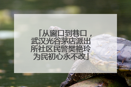 从窗口到巷口，武汉光谷茅店派出所社区民警樊艳玲为民初心永不改