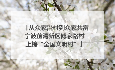 从众家治村到众家共富 宁波前湾新区傅家路村上榜“全国文明村”