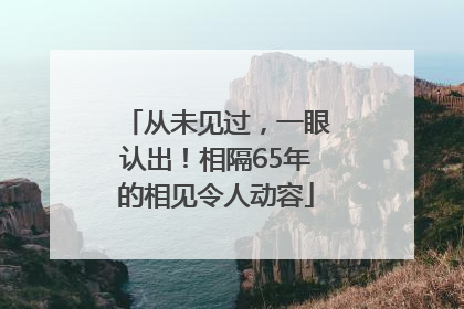 从未见过，一眼认出！相隔65年的相见令人动容