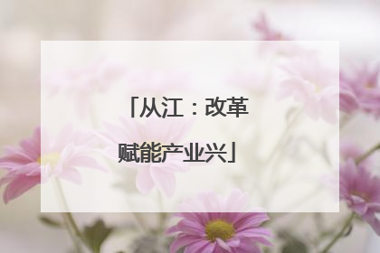 从江：改革赋能产业兴