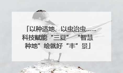 以种适地、以虫治虫……科技赋能“三夏” “智慧种地”绘就好“丰”景
