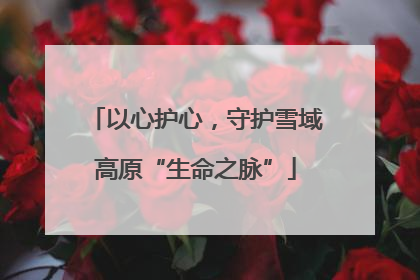 以心护心，守护雪域高原“生命之脉”